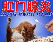 狗狗咬脚的治疗药膏及使用方法（了解如何正确选用治疗狗狗咬脚的药膏）