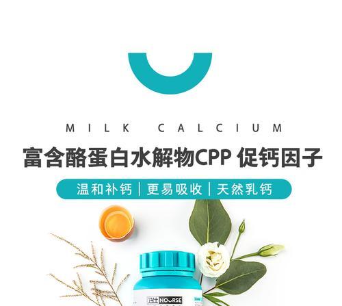 泰迪犬的钙片选择（了解泰迪犬所需的钙片类型和品牌）