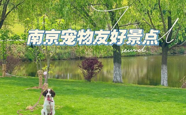带宠物游览的最佳景点推荐（与宠物共度美好时光，留下难忘回忆）