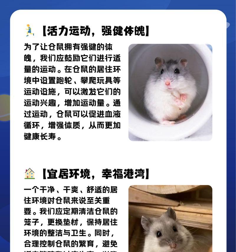仓鼠为什么什么都吃？（探究仓鼠的食欲和消化系统特点）
