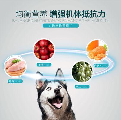 选择适合的狗粮，让狗狗大便少不臭（为了宠物的健康和环境的清洁，选择适合的狗粮至关重要）