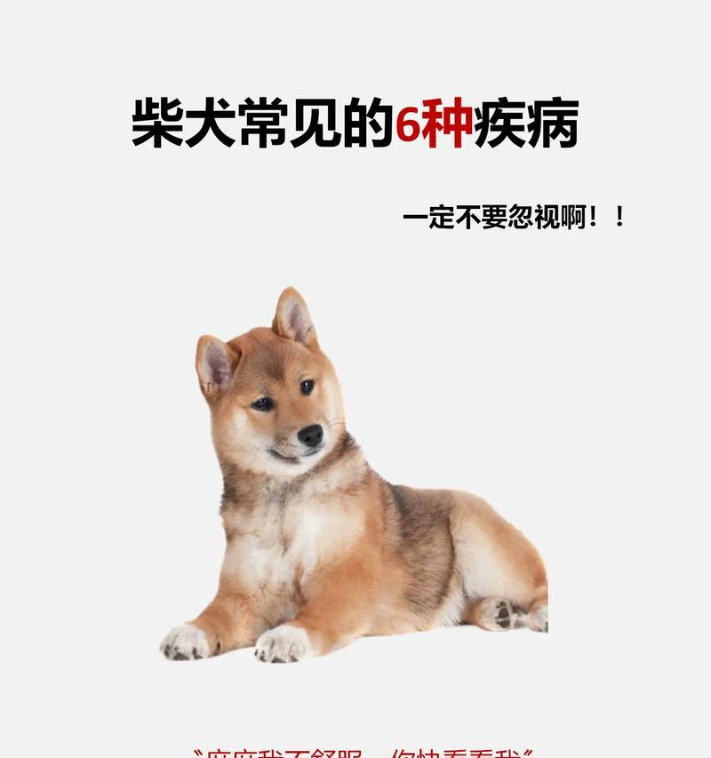 两个月大的狗病因及预防方法（保护小狗健康，全面预防病症）