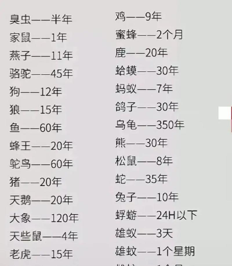 探究小乌龟为何寿命长（揭秘小乌龟长寿的奥秘）