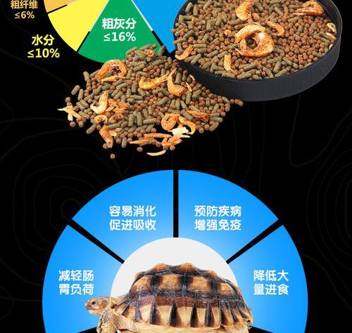 鳄鱼龟能吃什么食物？（探索鳄鱼龙的食物链）