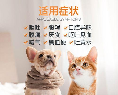 狗狗呕吐情况的处理方法（如何选择合适的药物治疗呕吐）