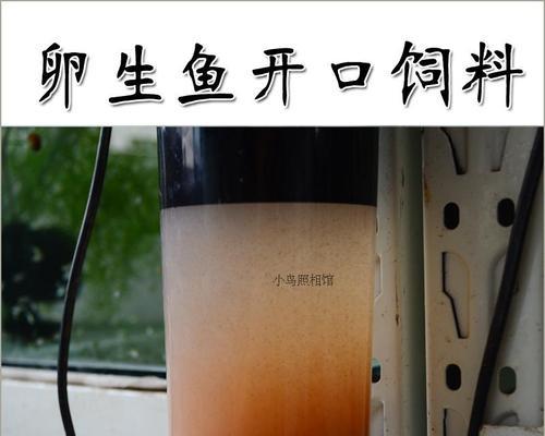 燕鱼丰年虾的喂养时间和技巧（一周养殖周期、关键性喂食时间以及有效的喂养方法）
