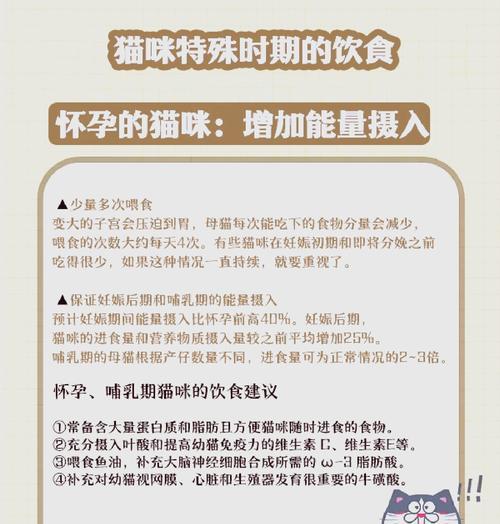 猫妊娠期多久？（了解猫妊娠期及其重要的关键阶段）