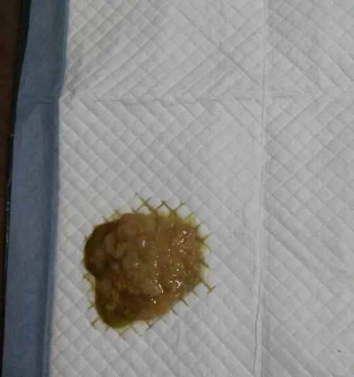 食用细小食物后会出现呕吐反应的时间（揭秘细小食物引发呕吐的时间间隔及原因）