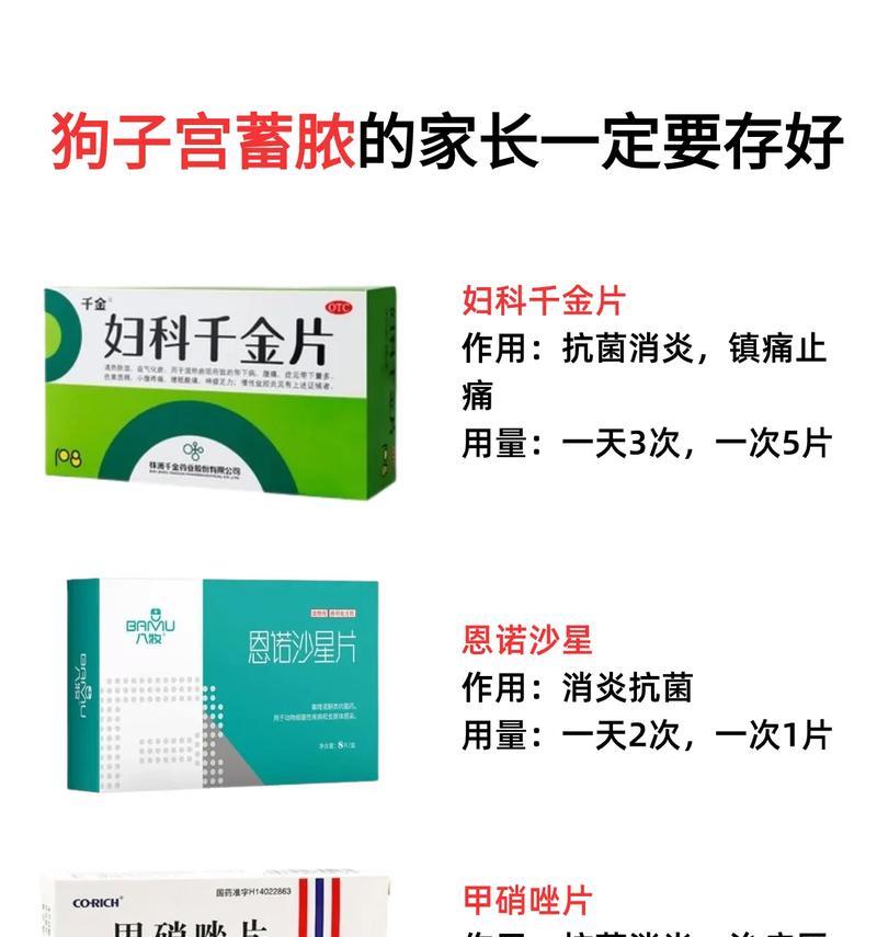 狗狗子宫开刀后的恢复期及护理方法（了解恢复时间和护理的关键细节，让您的爱犬更快康复）