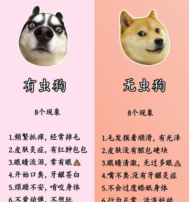 成年犬多久体内驱虫（科学保护宠物健康，每年一次体内驱虫）