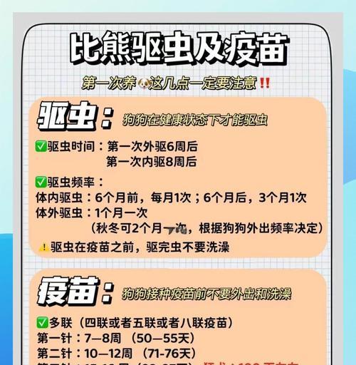 比熊犬的驱虫时间和注意事项（了解比熊犬驱虫周期，宠物更健康）