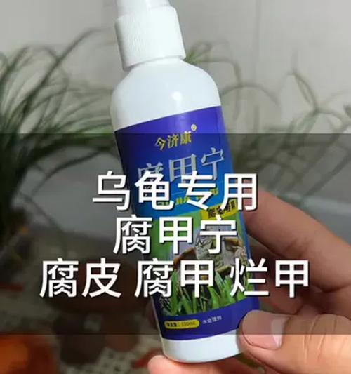 乌龟烂甲之症（乌龟烂甲的形成原因及有效的康复方法）