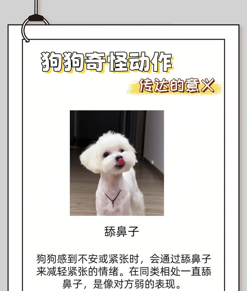 奇怪的狗（探索世界上最怪异的狗种及其特点）