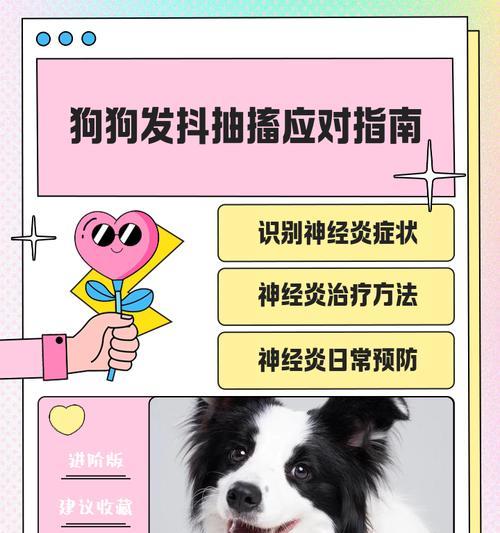 狗癫疯发病抽搐时间有多长？（探索狗癫疯发作过程中的抽搐时长及影响因素）
