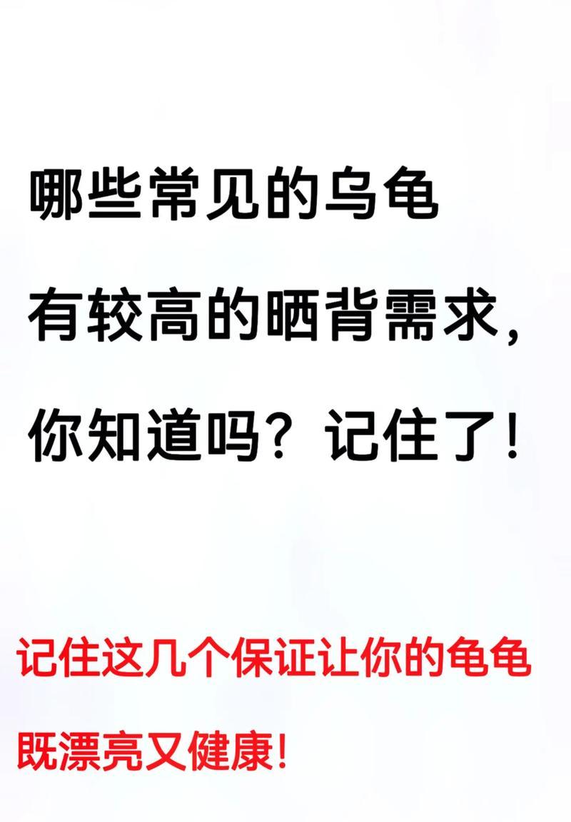 黄喉龟晒壳的时间需多久？（揭秘黄喉龟晒壳过程中的时间要求）