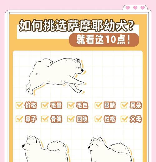 幼犬萨摩多何时适合出门？（从何时开始遛狗到宠物狗逐渐成长的过程）