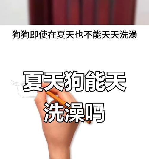 狗狗的洗澡频率和适宜时机（新买狗狗多久可以洗澡？洗澡的注意事项和技巧）