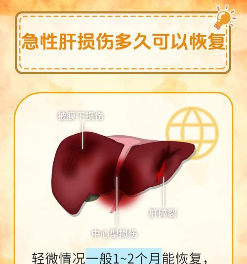 干细胞移植（让你的宠物重新获得健康和活力）