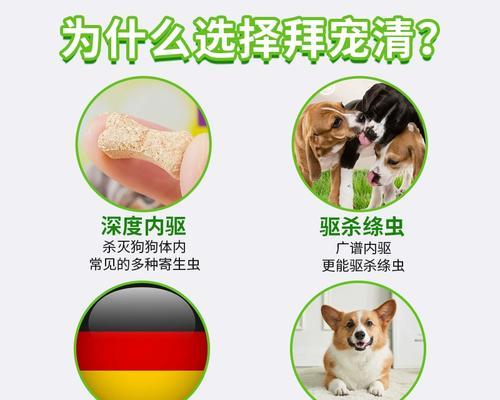 幼型犬体内驱虫的时间间隔及注意事项（养犬人必读！宠物犬如何科学合理地进行体内驱虫）