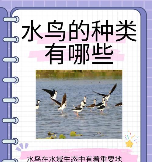 世界鸟类的多样性与品种分析（探索鸟类的种类与特征，了解它们的多样性和分布）