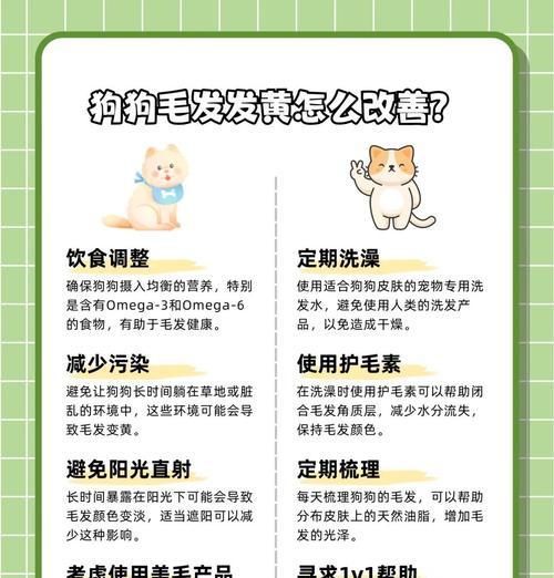 打造光泽顺滑的狗狗毛发秘籍（拥有与你狗狗一样光彩动人的毛发，让它成为众人瞩目的焦点！）
