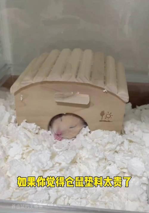 如何合理地更换仓鼠的木屑——保持宠物健康的关键（养仓鼠必看，掌握合理更换木屑的技巧）