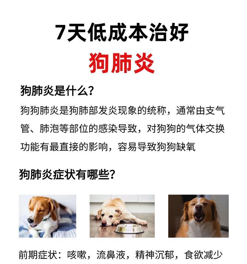 狗狗咳嗽的原因、诊断和治疗方法（应对狗狗咳嗽，让它重获健康快乐）