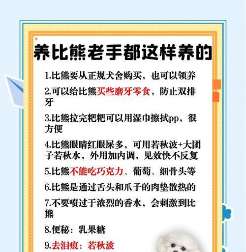 比熊育苗后多久可以进行驱虫？（了解比熊育苗后的驱虫时间，宠物健康有保障）