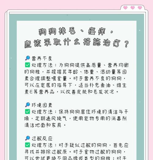 狗狗身体瘙痒的原因及应对方法（解析狗狗身体瘙痒的诱因和如何有效缓解症状）