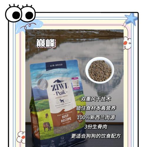 泰迪狗粮泡多久？（了解合适的泡粮时间）