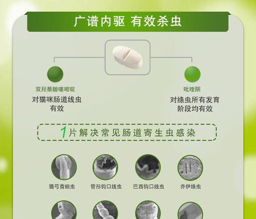 狗狗驱虫药的使用频率及注意事项（拜耳驱虫药使用指南和常见问题解答）
