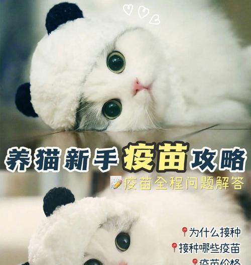 昆明犬疫苗接种频率及注意事项（保护爱宠健康，科学合理接种犬疫苗）