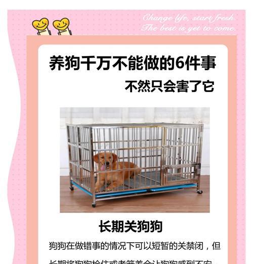 比熊的喂养方法（正确选择食物，做好喂食禁忌，让你的比熊健康成长）