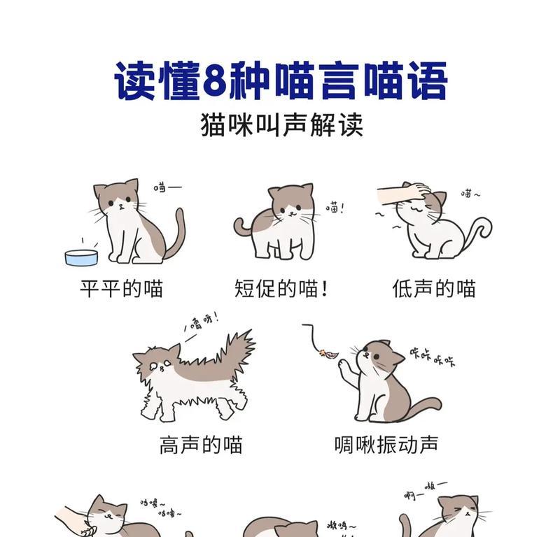 听懂猫咪的语言（猫咪的叫声传递着什么？从喵喵到呜呜，了解猫咪的情绪需“翻译”）