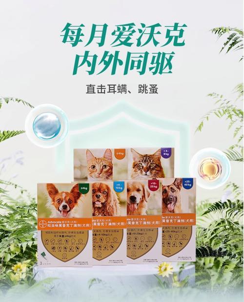 拜耳驱虫药的见效时间（深入了解拜耳驱虫药的使用效果与速度）