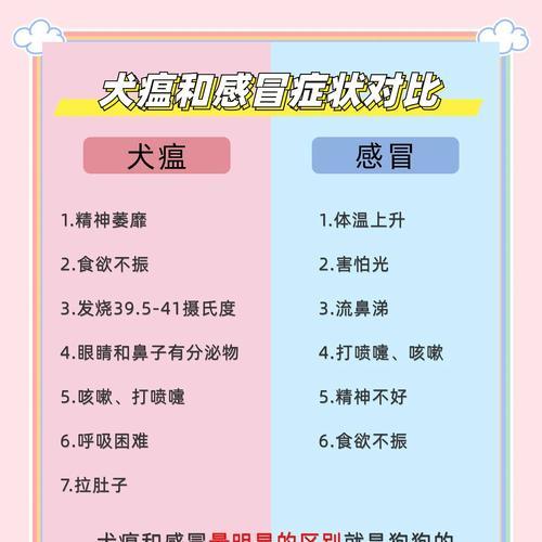 犬瘟病毒的潜伏期有多长？（揭开犬瘟病毒潜伏期的神秘面纱）