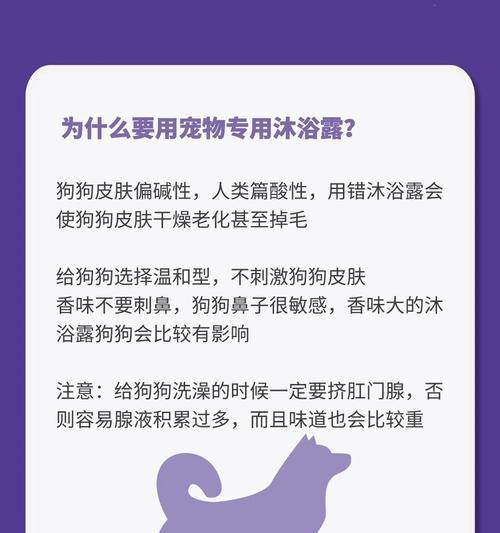 夏季狗狗洗澡的注意事项（保护毛发，避免过度洗澡）
