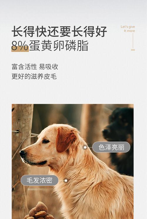 以猫吃什么食物可以养护毛发有光泽（卵磷脂或鸡蛋黄的有效性及食用建议）