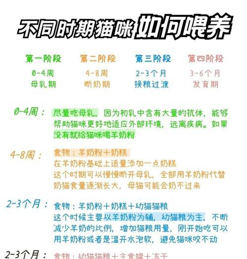 幼猫健康标准与喂养准则（关注幼猫的健康成长，科学喂养是关键）