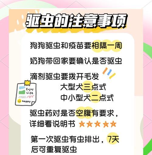 四个月狗狗驱虫的时间和效果解析（狗狗驱虫，你需要知道的关键信息）