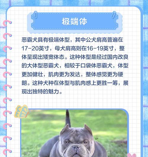 恶霸犬的日常饮食（了解恶霸犬的饮食需求，打造强壮有力的宠物伙伴）