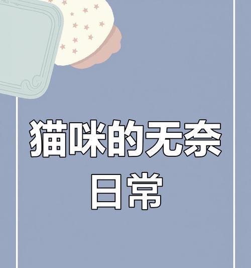 猫咪的陪伴时间（猫咪的快乐生活离不开主人的陪伴和关心）