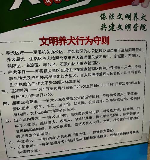 遇上疯犬咬人怎么办？不要怕打它这几个部位，一击就见效（保护自己有效应对疯犬咬伤的方法和技巧）