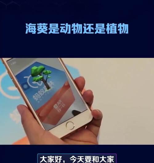 海葵为何以蚂蚁为食？（探究海葵对蚂蚁的食用原因及特点）
