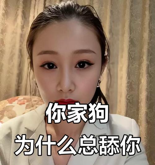 狗狗为什么喜欢舔人？（探索狗狗舔人的原因和意义）