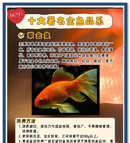 水中绘色（极富变化的水下画卷，美不胜收）