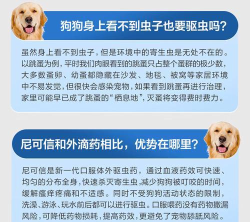 如何有效清除狗狗身上的蜱虫？（选择适合狗狗的药物来预防和消灭蜱虫）