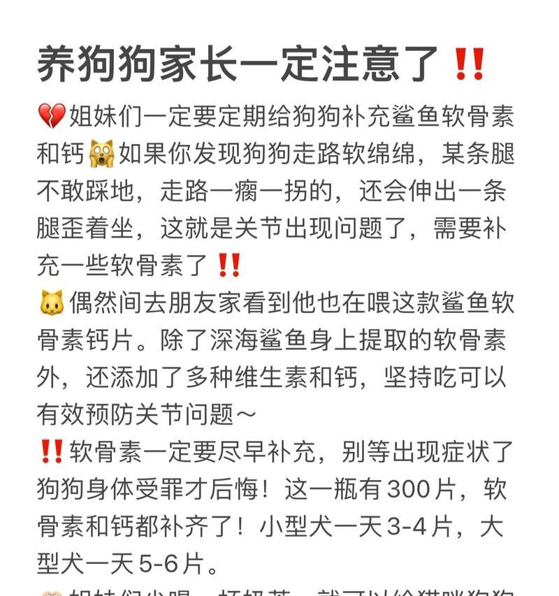 狗狗腿弯了多久能恢复？（探索狗狗腿部损伤的康复时间及关键因素）