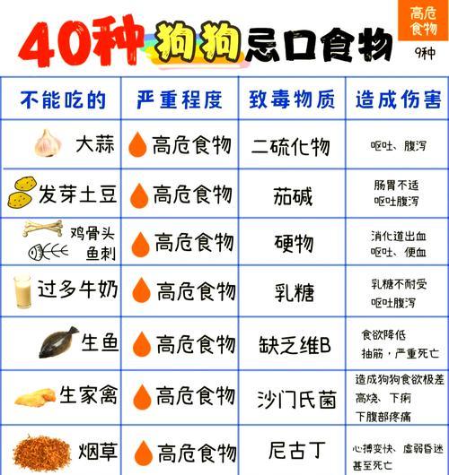 狗狗的“山珍海味”（这些食物对狗狗来说是天堂！）