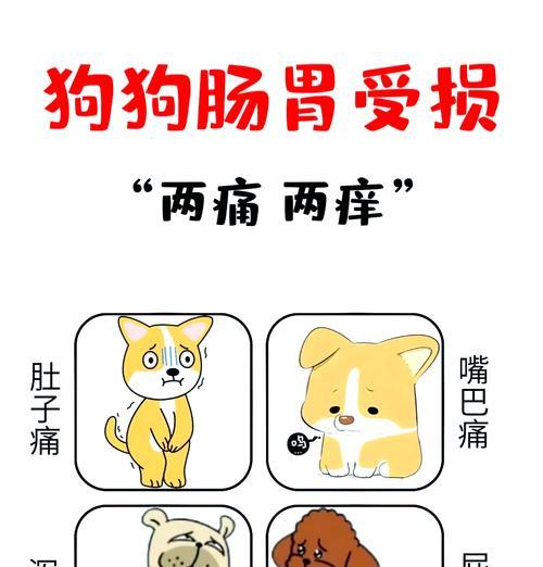 狗狗胃受凉的症状及预防措施（了解狗狗胃受凉的表现与应对方法，保护它们的胃健康）